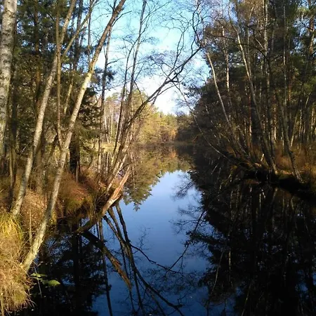 Moorhexe 2 Gelbensande