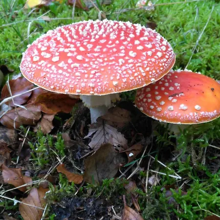 شقة Moorhexe 2 Gelbensande